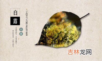 属鸡出生在白露节气是什么命？2020白露适合出行吗？