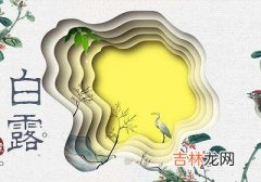 2020庚子鼠年白露节气申时出生喜用神是什么？