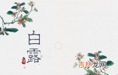 2020庚子年白露节气卯时出生命好吗五行喜用神解析