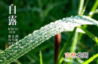 2020鼠年白露节气辰时出生宝宝五行喜用神解析