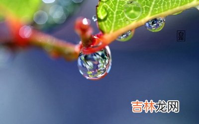 2020年白露节气亥时出生的宝宝命好吗?