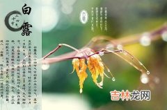 白露节是什么意思？2020白露节气出生的宝宝好吗？