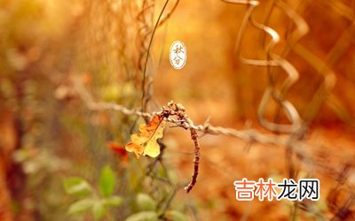虎年秋分节气出生的人命运好不好?2020秋分可以出行吗?