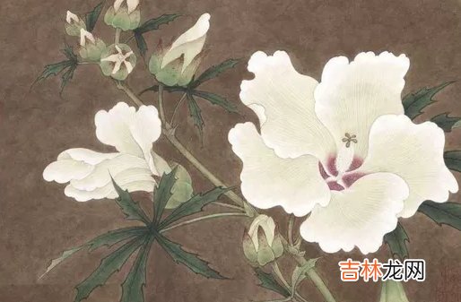 生辰八字五行:2021金牛年大年正月初一申时15点出生的宝宝什么命
