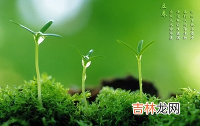 2020庚子鼠年十二月二十一日立春前一天求嗣适合吗？