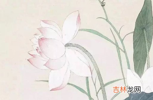 生辰命理:2021年正月初七出生的宝宝八字是什么