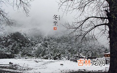 宝宝在2020鼠年冬至节气后一天十一月初八可以求嗣吗？出生好不好？