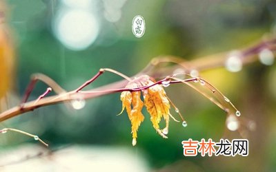 宝宝在2020年白露还要几天？属龙的人白露节气出生好吗？