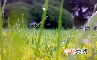 宝宝在白露可以理发吗？猪年白露节气出生好不好？