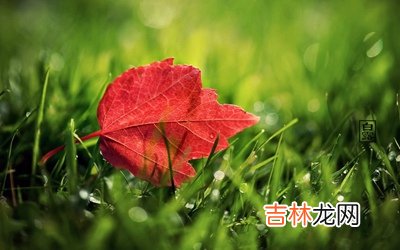 宝宝在白露节气什么意思？白露节气出生命运如何？