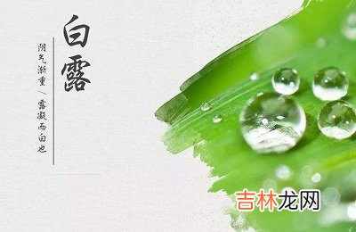 宝宝在2020年白露节气子时生人五行缺什么，是什么命？出生怎幺样？