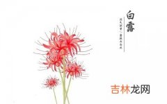 宝宝在2020年白露节气亥时出生好吗？