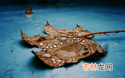 宝宝在白露节气生的孩子好吗？2020年白露出生怎幺样？