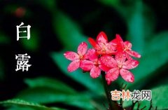 宝宝在2020年七月二十白露节气戌时喜用神解析命运如何？出生好吗？