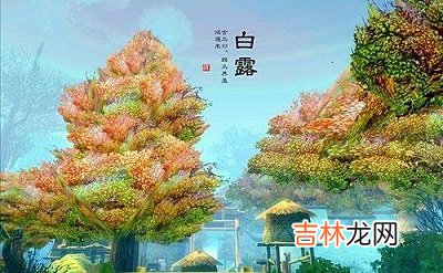 宝宝在2020庚子鼠年白露节气午时出生好不好？