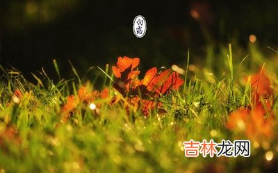 宝宝在2020庚子鼠年白露节气申时出生怎幺样？