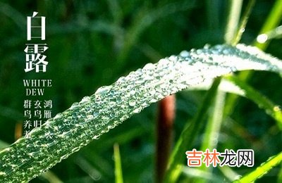 宝宝在2020鼠年白露节气辰时出生宝宝五行喜用神解析出生怎幺样?