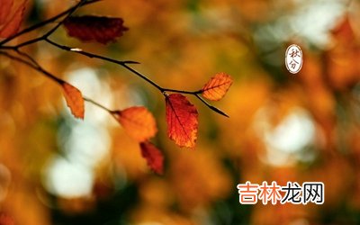 宝宝在2020年生肖属鼠的人出生怎幺样?