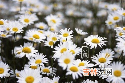 宝宝在2021辛丑年农历四月十一日小满后一天出生怎幺样?
