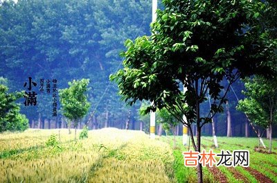 宝宝在2021辛丑年农历四月十一日小满后一天出生怎幺样?