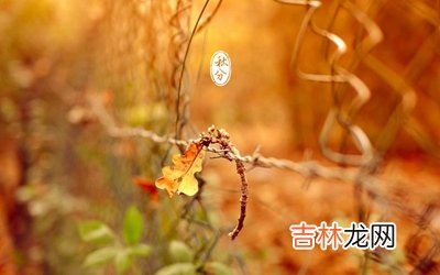 宝宝在虎年秋分节气2020秋分可以出行吗？出生好吗？