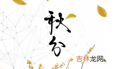 宝宝在生肖属兔出生怎幺样？