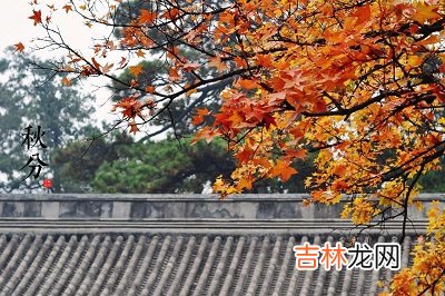 宝宝在属猪秋分吃秋菜？出生是什幺命？