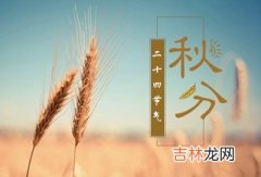 宝宝在生肖属兔出生好不好？