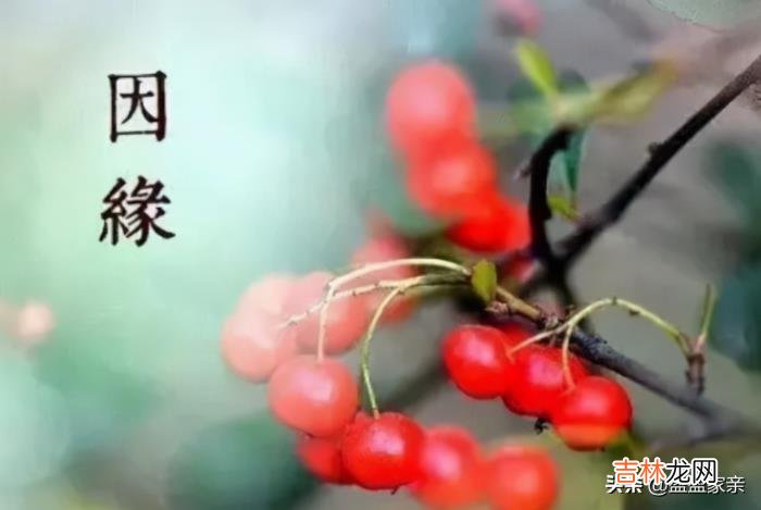 如今 因此作为大龄剩女或者早早嫁为人妇，都有她们各自的优缺点