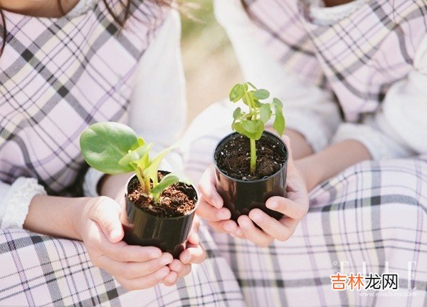 作为夫妻 夫妻之间做夫妻的基本要件是什么？