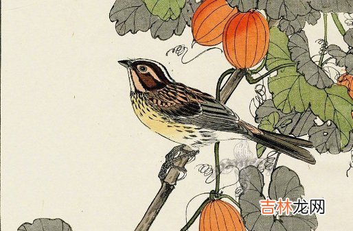 农历2021牛年正月初九出生的宝宝命运如何,几点出生好