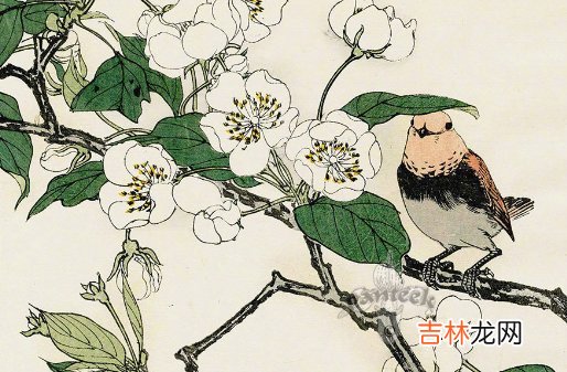 生辰命理:2021年农历正月十二出生的宝宝八字是什么