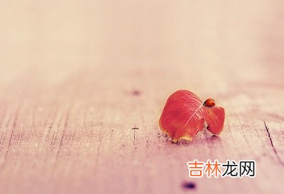 四柱神煞特别多会怎么样？神煞驿马要怎么算？