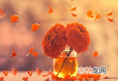 四柱神煞特别多会怎么样？神煞驿马要怎么算？