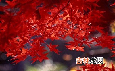 宝宝在四柱神煞有丧门神吗？四柱神煞代表什么？出生命运如何？