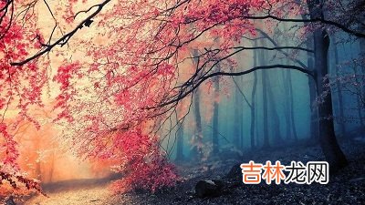 四柱神煞太极、华盖详解，神煞要如何运用？