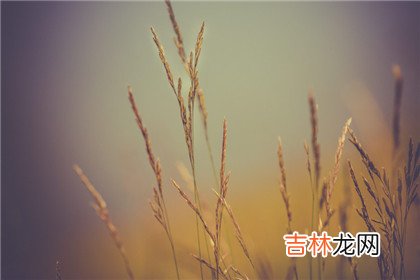 四柱神煞、流年神煞和大运神煞有什么区别?