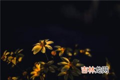 四柱神煞、流年神煞和大运神煞有什么区别?