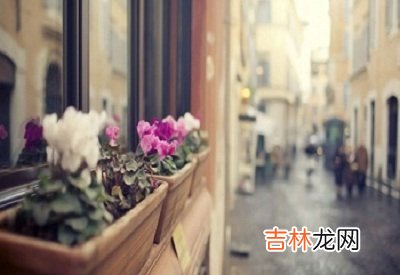 宝宝在四柱神煞日柱华盖童子是什么意思？华盖入命好不好？出生好吗？