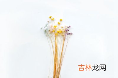 宝宝在四柱神煞太极文昌将星分别代表了什么?出生是什幺命?