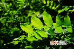 四柱神煞母仓是什么意思?母仓日是吉日还是凶日？