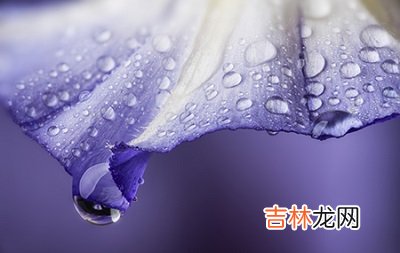 四柱神煞速查表常见的四柱神煞简介