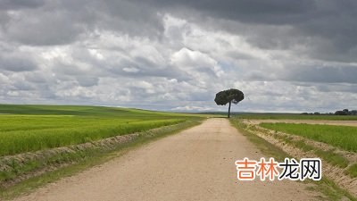 四柱神煞天德月德是什么意思？哪一个比较好？