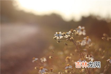 四柱神煞里带三个天罗是什么意思?如何化解?