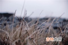 四柱神煞里带三个天罗是什么意思?如何化解?