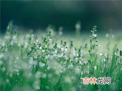 宝宝在四柱神煞对论命重要吗?命犯孤鸾如何化解?出生是什幺命？