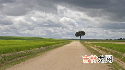 宝宝在四柱神煞天德月德是什么意思？哪一个比较好？出生命运如何？