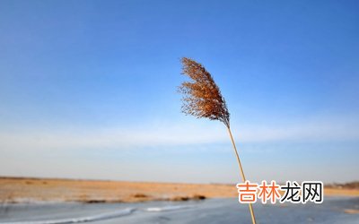 宝宝在四柱神煞的来源和作用，神煞龙德贵人是什么意思？出生怎幺样？