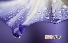 宝宝在四柱神煞速查表常见的四柱神煞简介出生怎幺样？