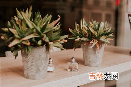 宝宝在哪个网站看四柱神煞最准?带你了解八字中最可怕的神煞出生怎幺样?